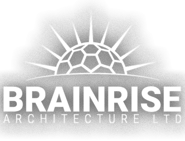 Logo Brainrise